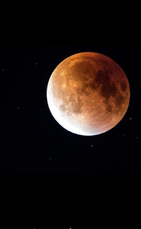 Luna Costinesti Eksteriør billede